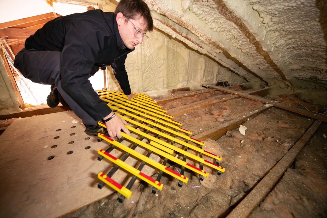 Residential attic with insulation and roof framing, where a rat job in Tampa usually starts