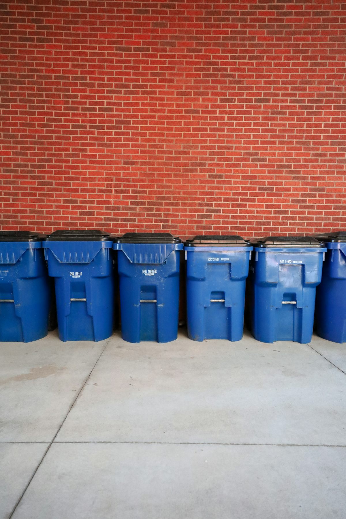 Row of curbside waste bins, a steady food source that holds rats in Town n Country blocks