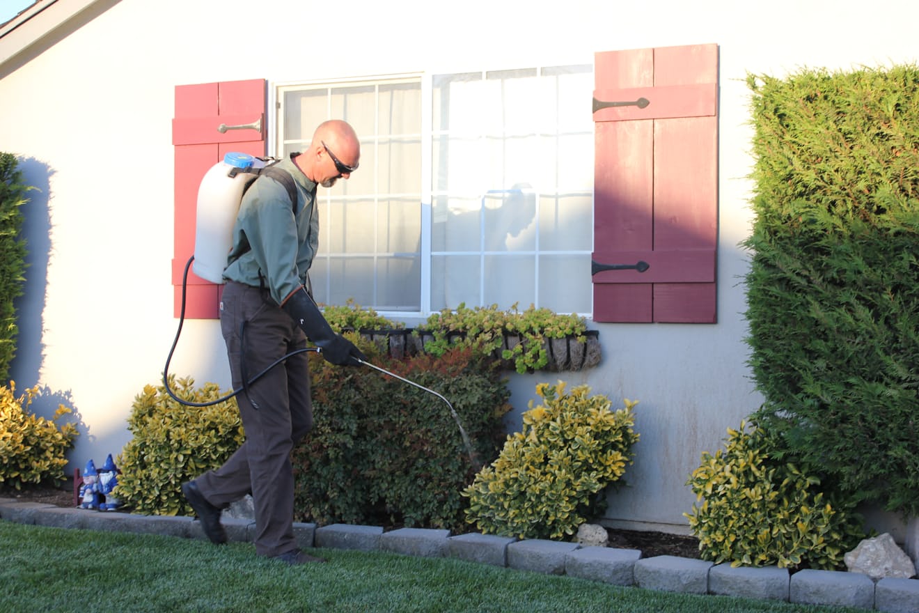 Pest technician working along the exterior wall of a house during a rat treatment