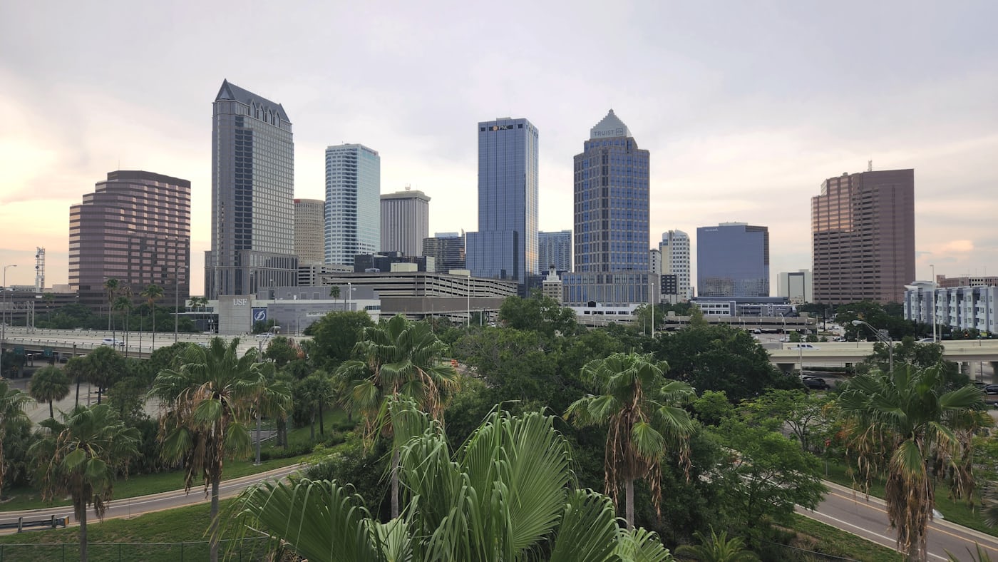 Tampa skyline seen over palm canopy, the metro edge where Lutz meets north Hillsborough County