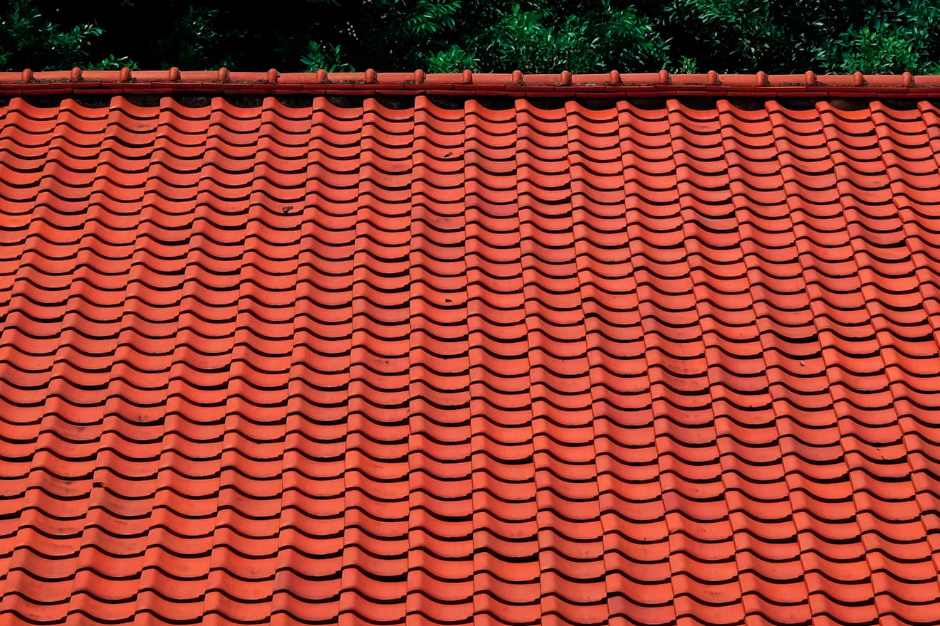 Barrel tile roof with open tile ends at the ridge, the gap roof rats use on Carrollwood homes
